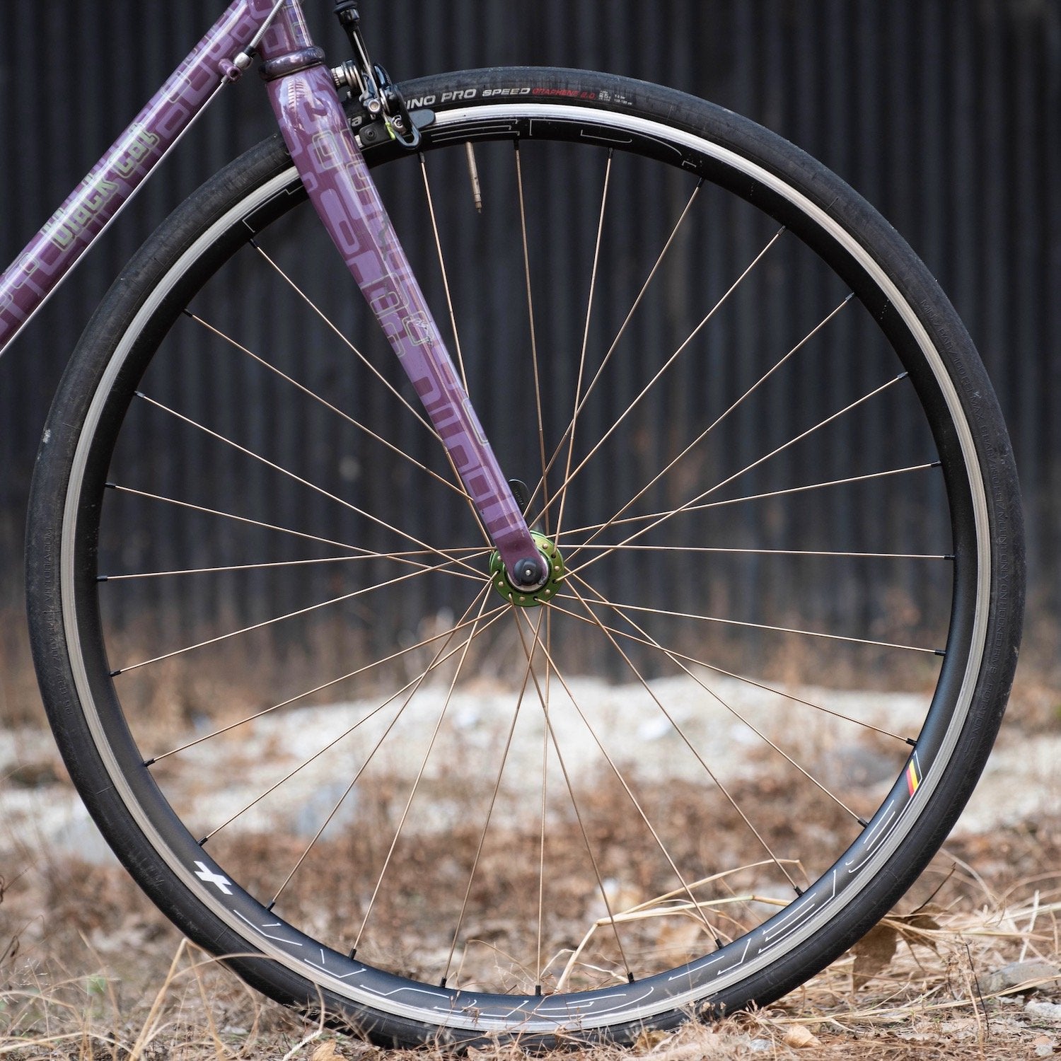 Bicycle Wheel Spokes